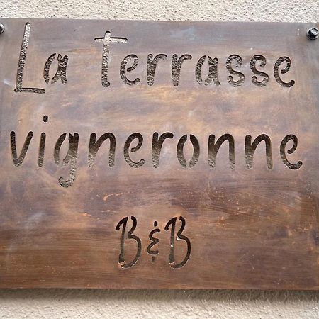 Bed and Breakfast La Terrasse Vigneronne Fitou Esterno foto