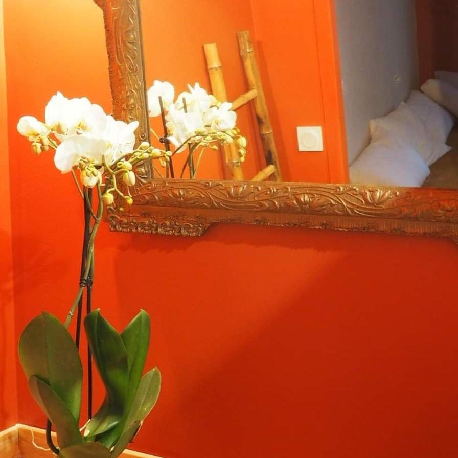 Bed and Breakfast La Terrasse Vigneronne Fitou Esterno foto